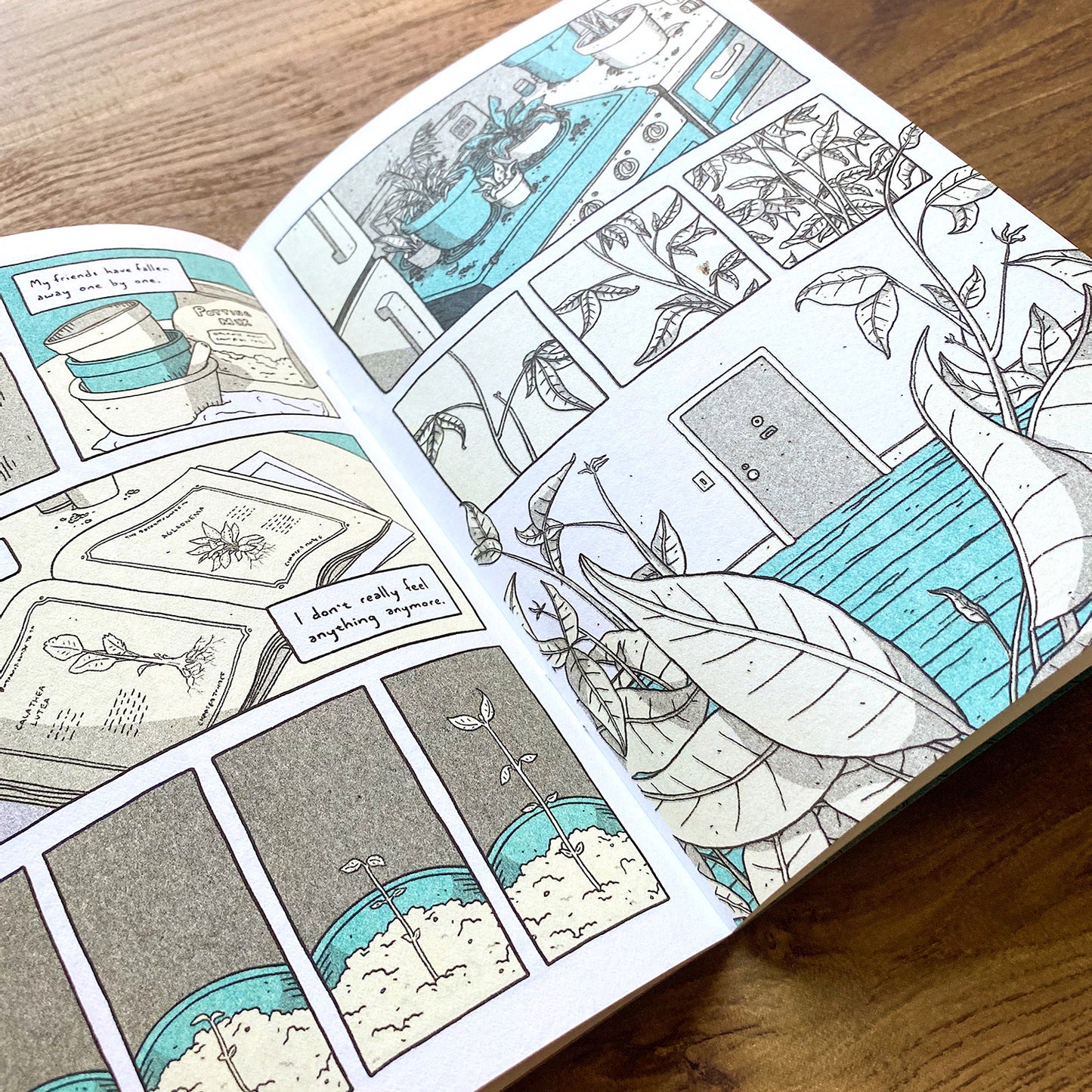 Greenhouse - By Debbie Fong