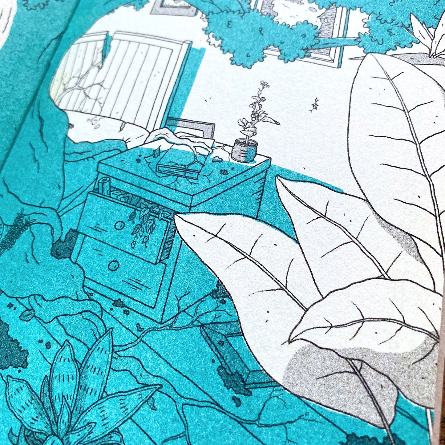 Greenhouse - By Debbie Fong