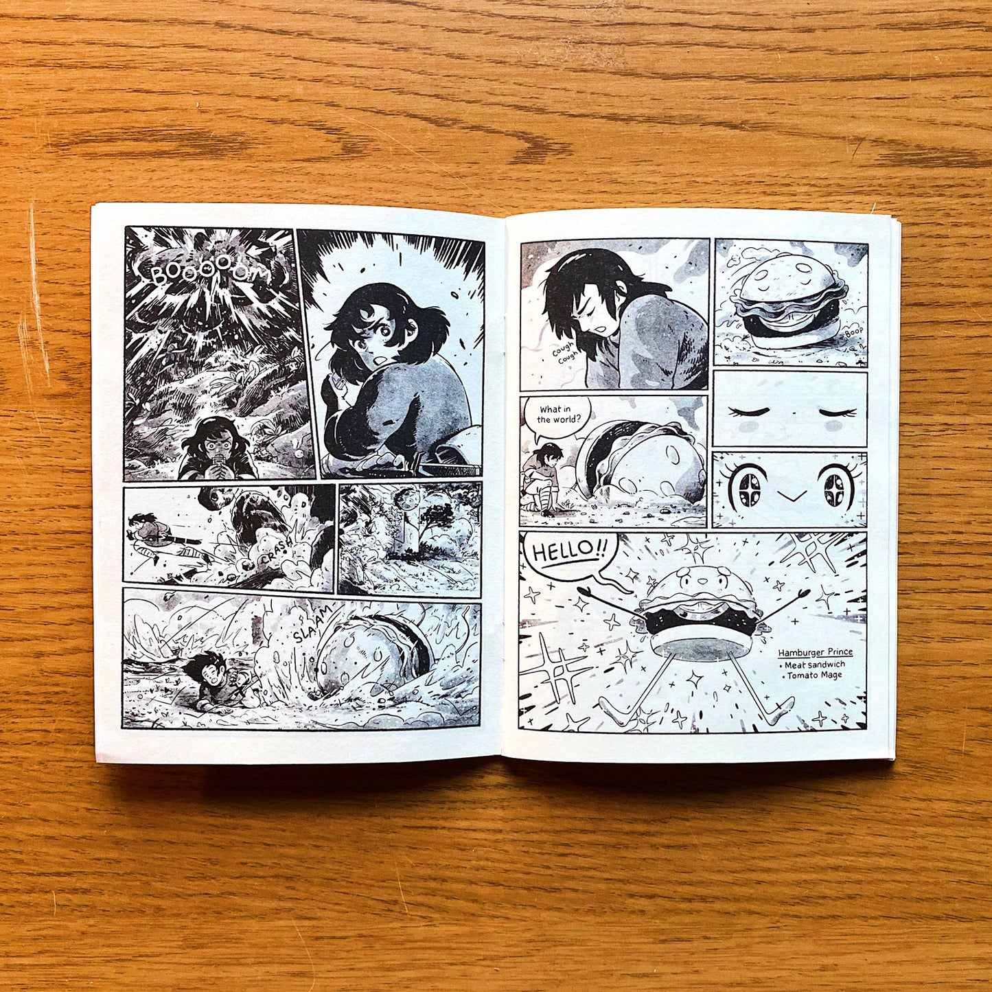 The Hamburger Prince