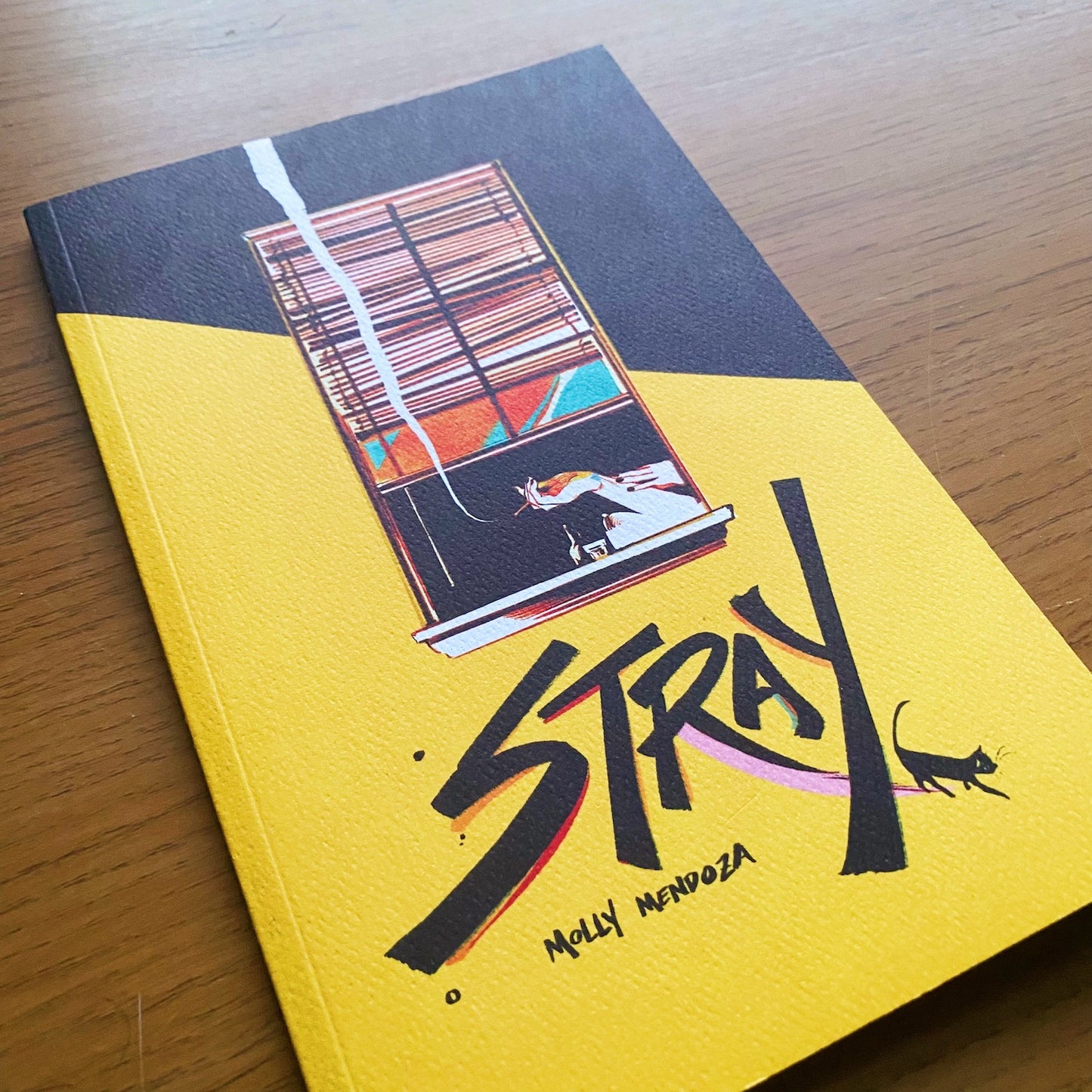 STRAY - by Molly Mendoza