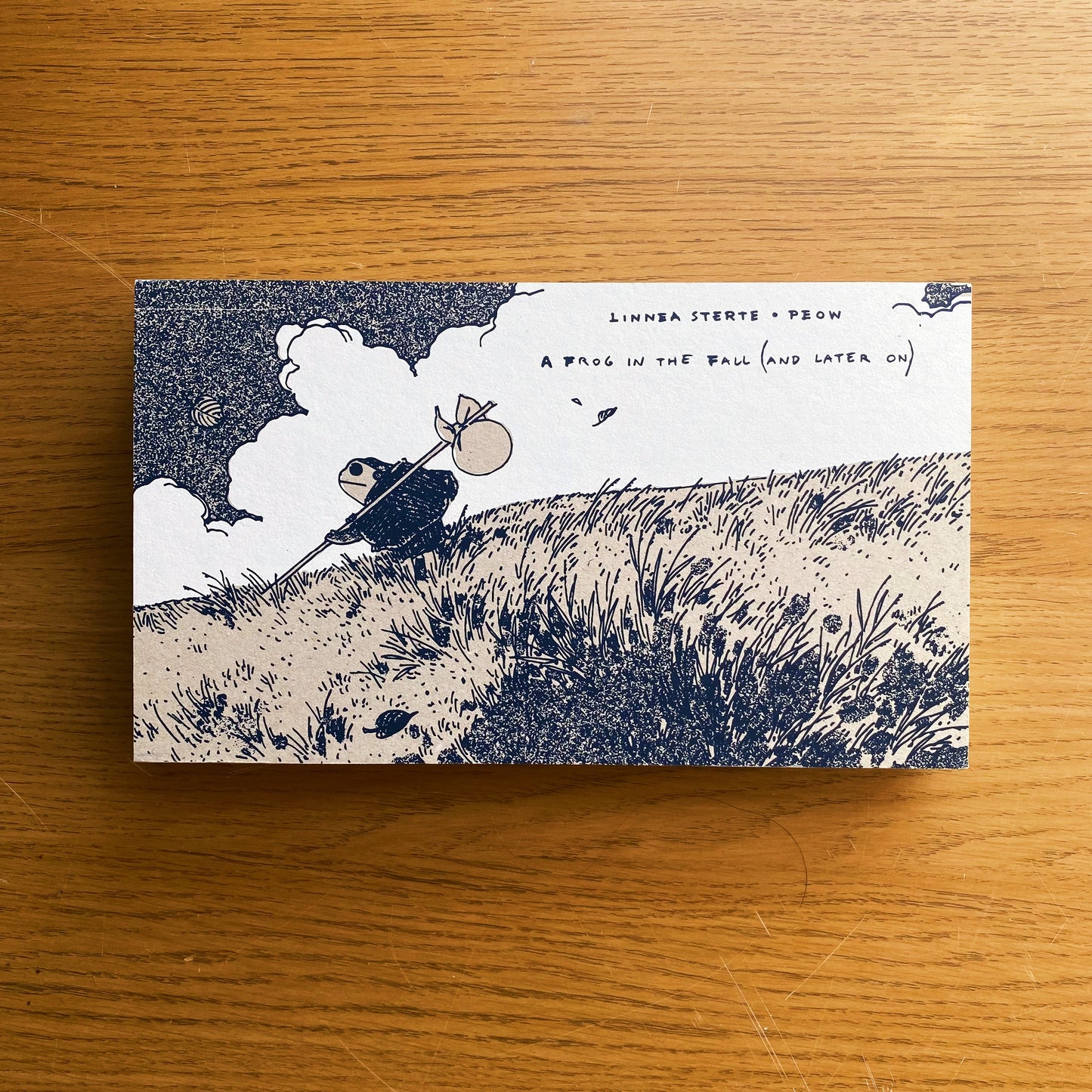 A Frog in the Fall - By Linnea Sterte