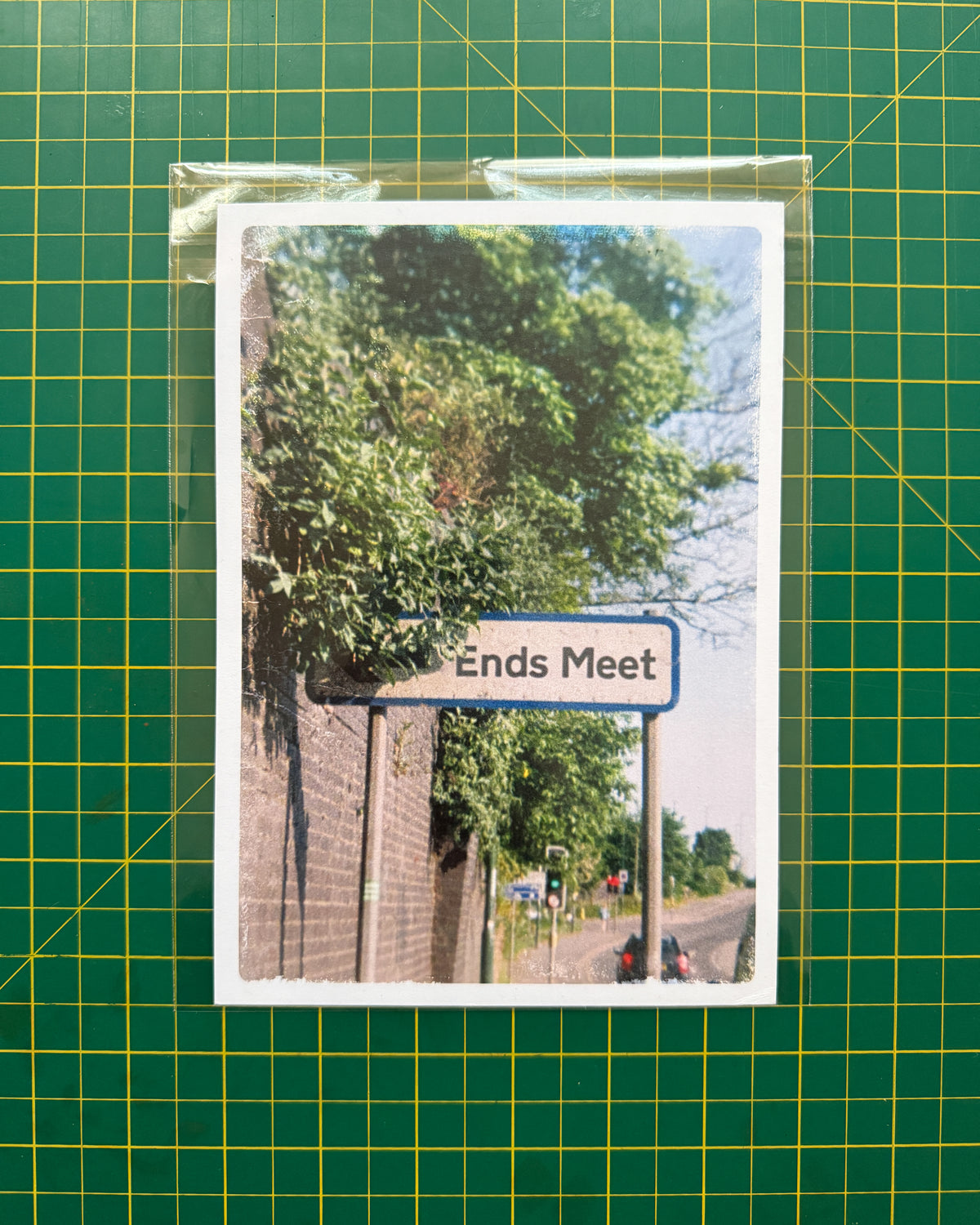 Ends Meet Print - Lace Thief