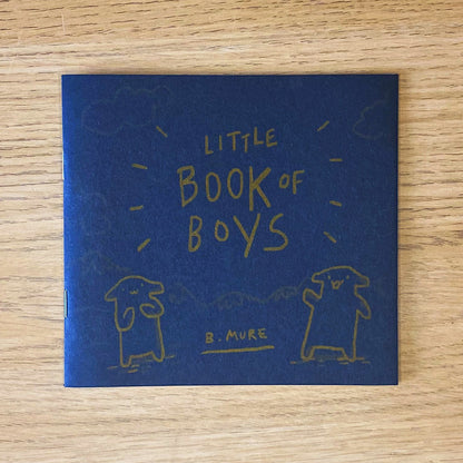 Little Book of Boys