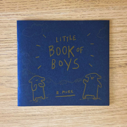 Little Book of Boys