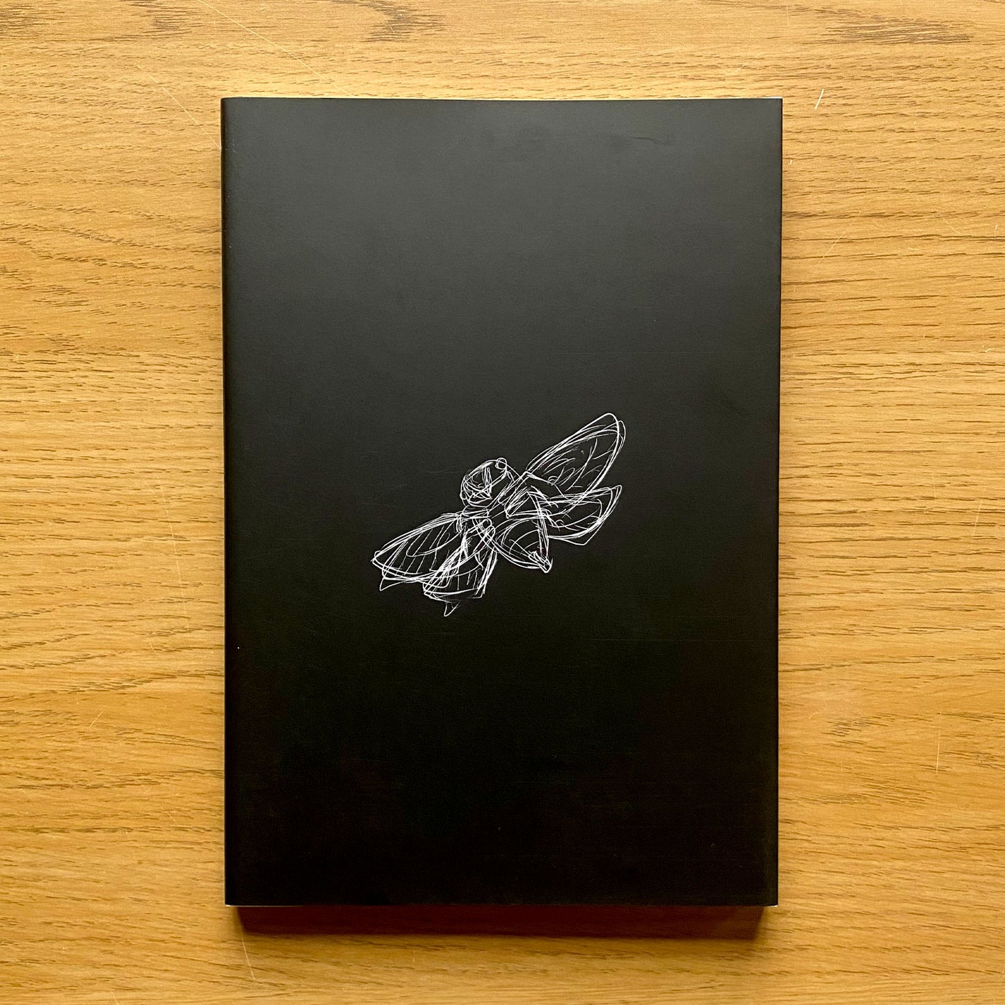 Cicada Man - By Ryuko Iwabuchi