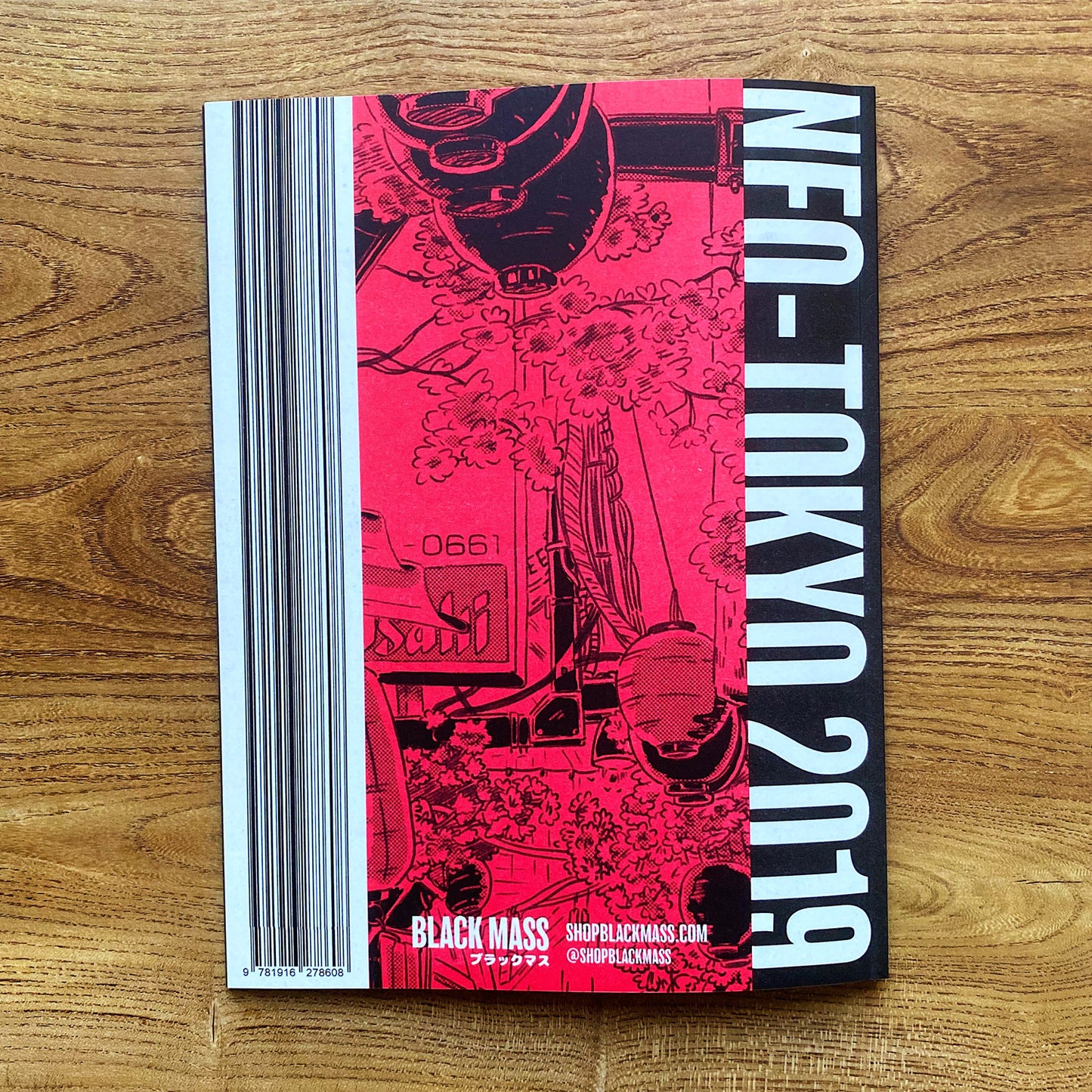 Neo-Tokyo 2019: An Akira Fanzine